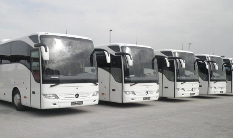 Malta region: Bus company in Fgura in Fgura and Malta