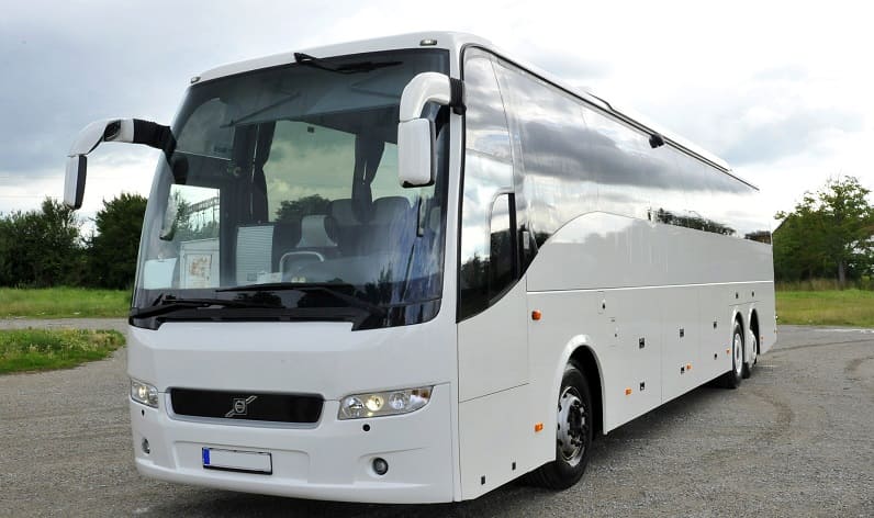 Italy: Buses agency in Italy in Italy and Calabria